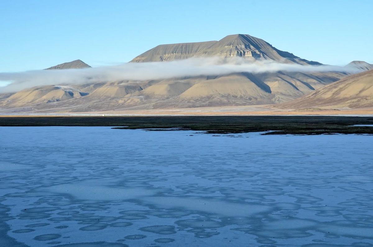 40+x+60+2014__GLOBAL_SEED_VAULT-Christian_Clauwers-DSC_6573