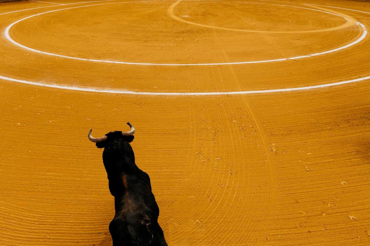 RunningOfTheBulls_110