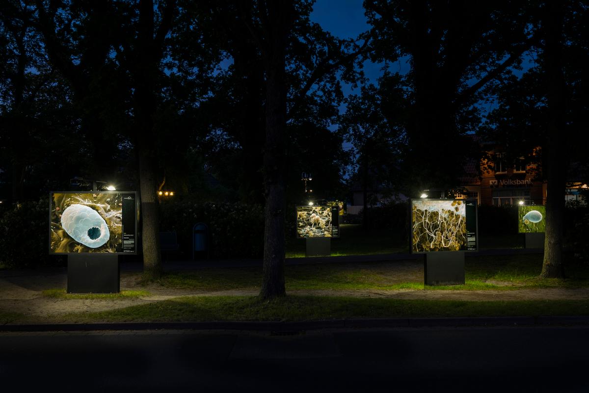 horizonte zingst 2023
Nicole Ottawa And Oliver Meckes - Bodencreaturen
Photo © Florian W Mueller