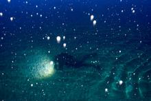 39 - BT_Arctic039 - be7d380d-a76a-4153-8da4-cb4562b556f7