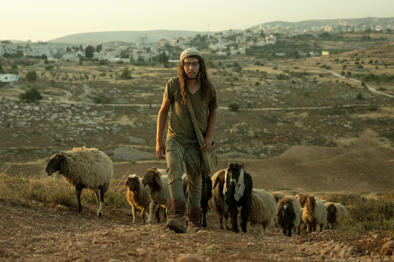 Shepherds of the Holy Land: Moshe Schleifer