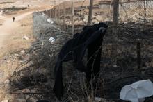 33 - AF-When the crown was taken off-038 - 1ab5bc5c-8c4a-47e7-bda8-ba6fcc48680e