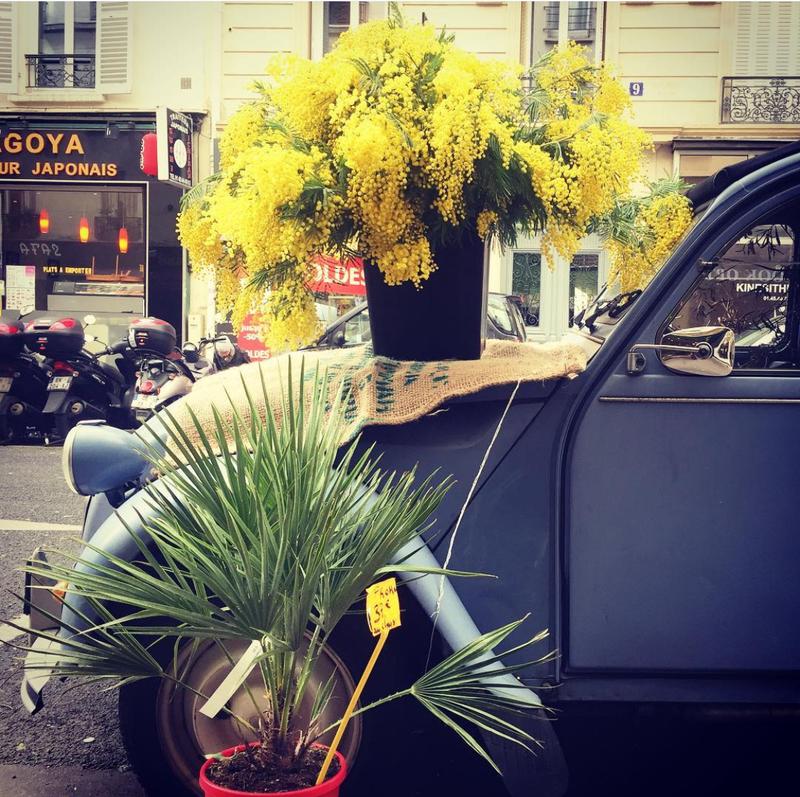 An Ode to Flowers