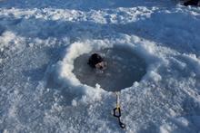 12 - BT_Arctic012 - f2980b3c-b972-41bc-8bc0-64d7b964786c