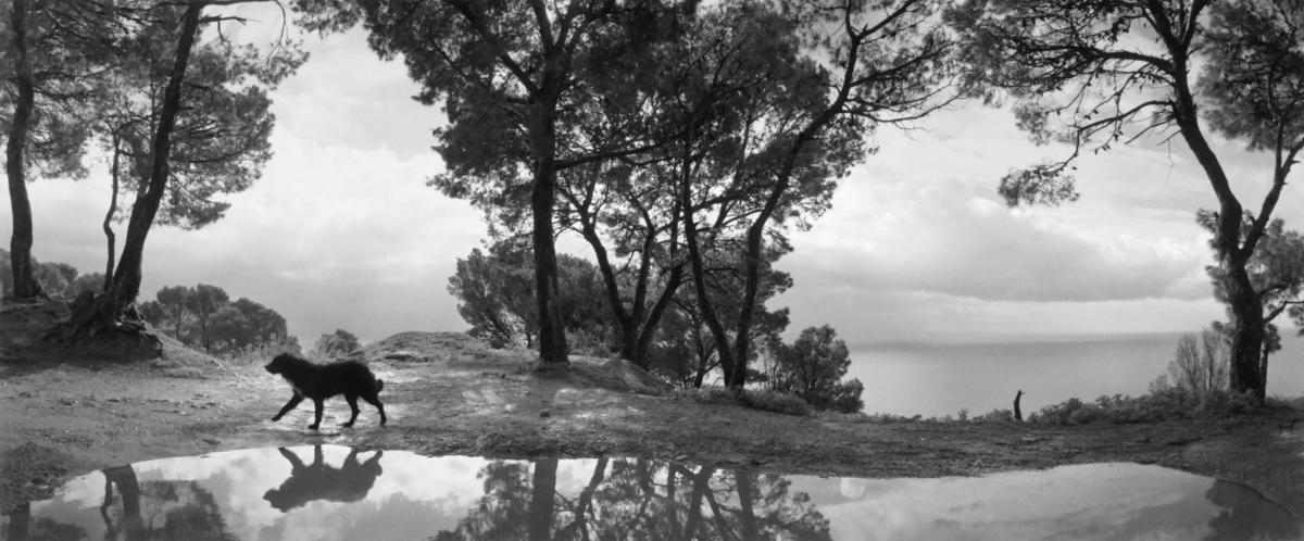 Gallery_200px
