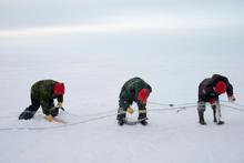 17 - BT_Arctic017 - f440f91a-9252-4072-9a50-c0cf1760a440