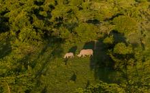 37 - rhinos_030 - 04aa21af-8a98-4be9-b861-611185d1e979
