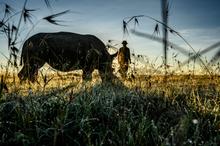 26 - rhinos_008 - 26992dc7-1f29-4ca0-95ba-dc48402c09b5