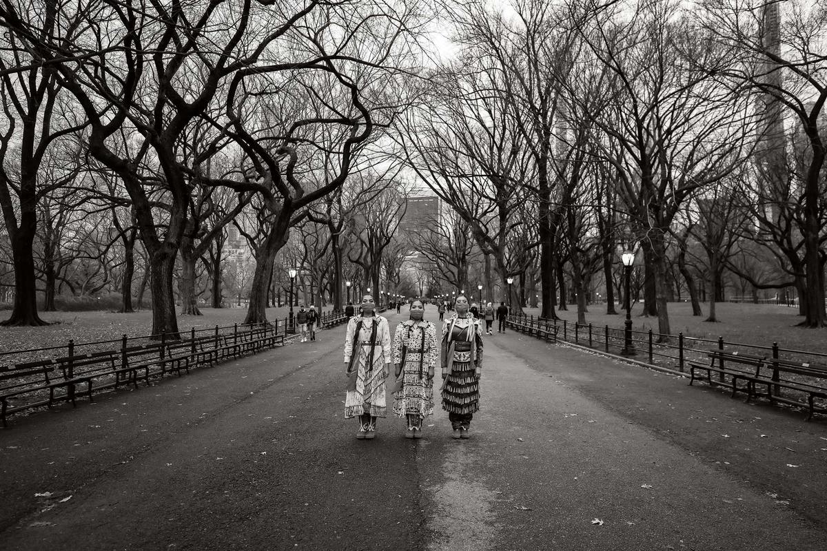 Listen to the Trees, Central Park, New York, The native land of the Mohican, Wappinger, and Munsee Lenape people, 2020