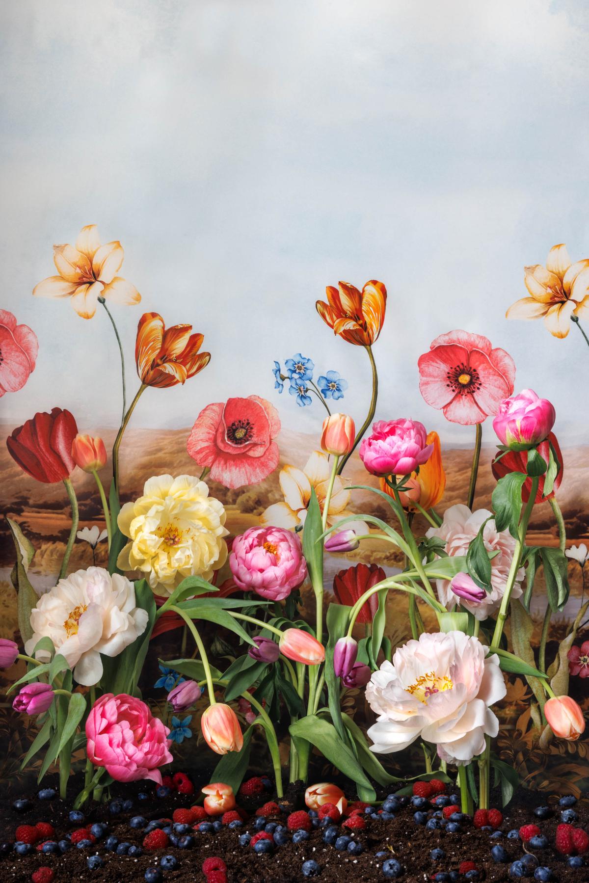 JP Terlizzi, A Parade of Peonies, 2022, archival pigment print