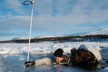30 - BT_Arctic031 - 3a1f5e53-19cc-4a71-995a-f87840fd2e45