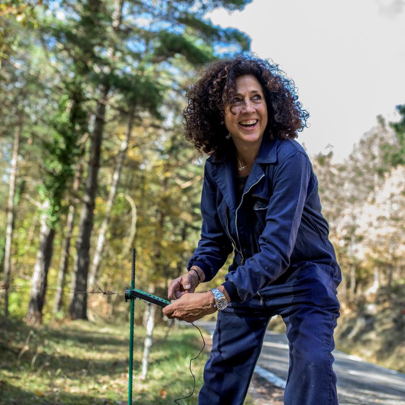 Preservation: Michele Curel’s Transition from Portraits to Forests