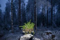 37 - BT_Arctic038 - 0868f738-c997-4c85-946f-855a73a2d3b7