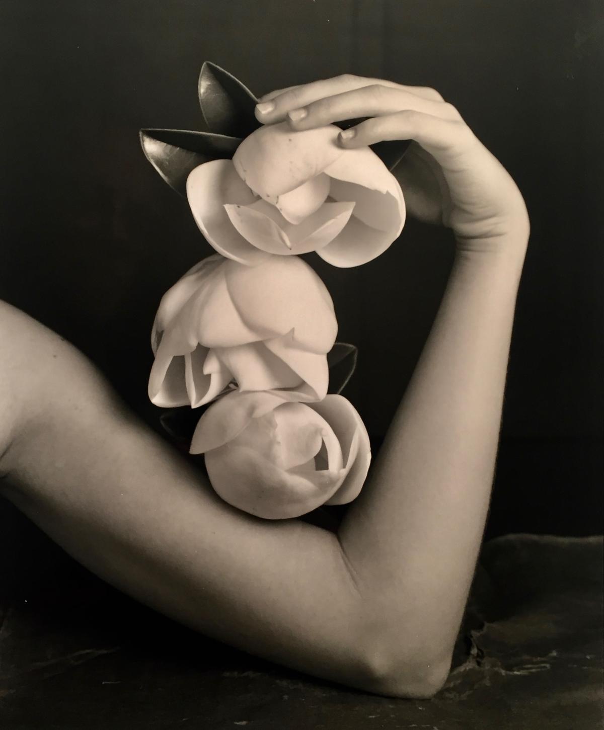 Robert Langham III, Triple Magnolia, 2019, silver gelatin print
