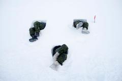 22 - BT_Arctic022 - 255f607a-78c8-4bc4-ab53-be3a36e7385e