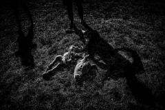 Dances with Wolves. A new civil war in the mountains of madness 03