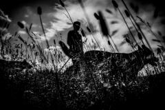 Dances with Wolves. A new civil war in the mountains of madness 08