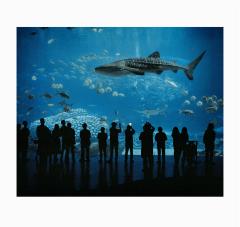The_Anthropocene_Illusion_ZED_NELSON_001