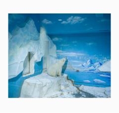 The_Anthropocene_Illusion_ZED_NELSON_004