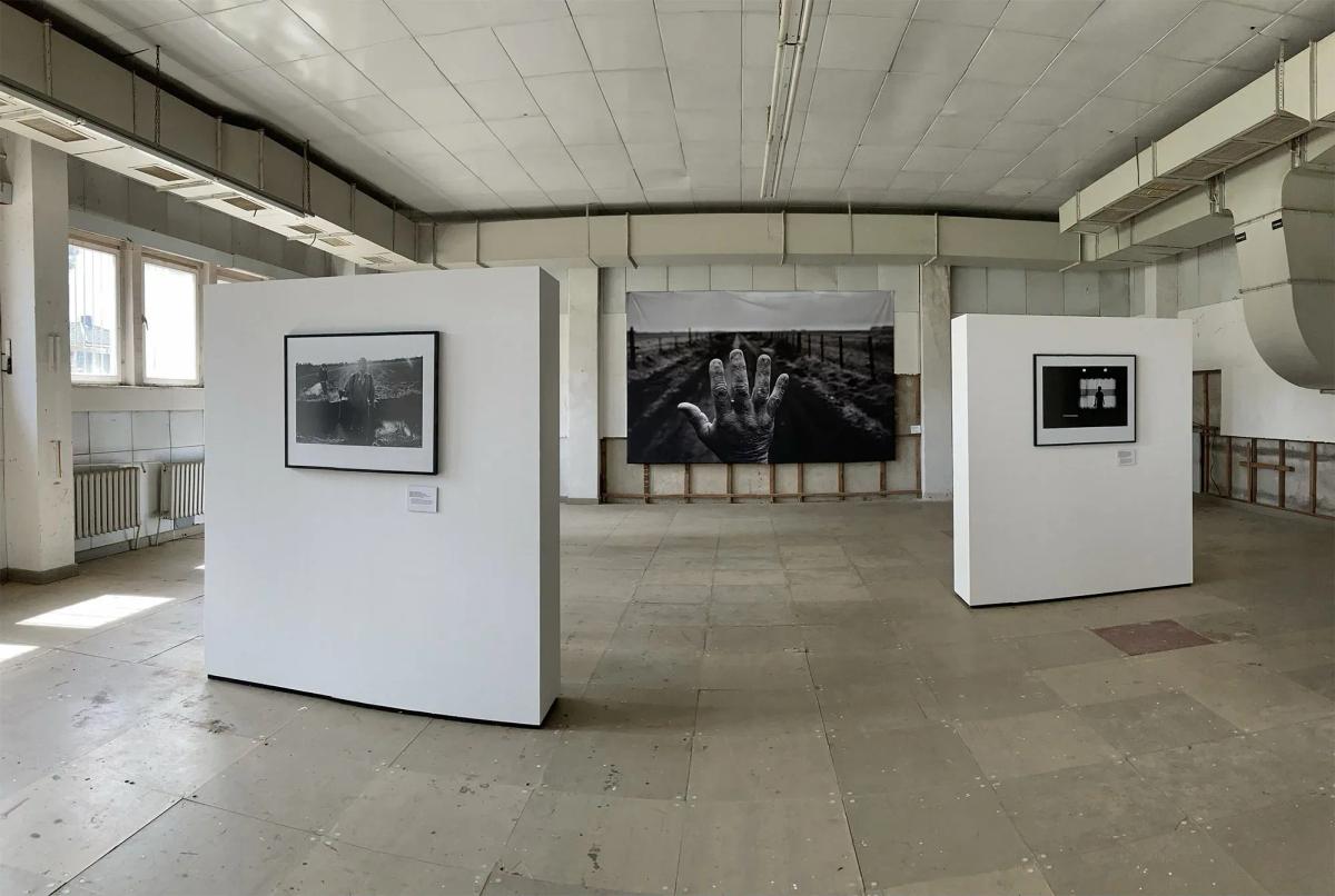 horizonte zingst 2022
Pablo Piovano - The Human Cost