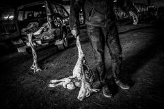Dances with Wolves. A new civil war in the mountains of madness 07
